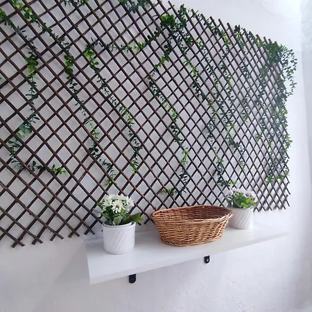 Turistico Centro Jardin *